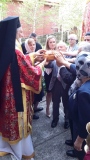 hobart_12